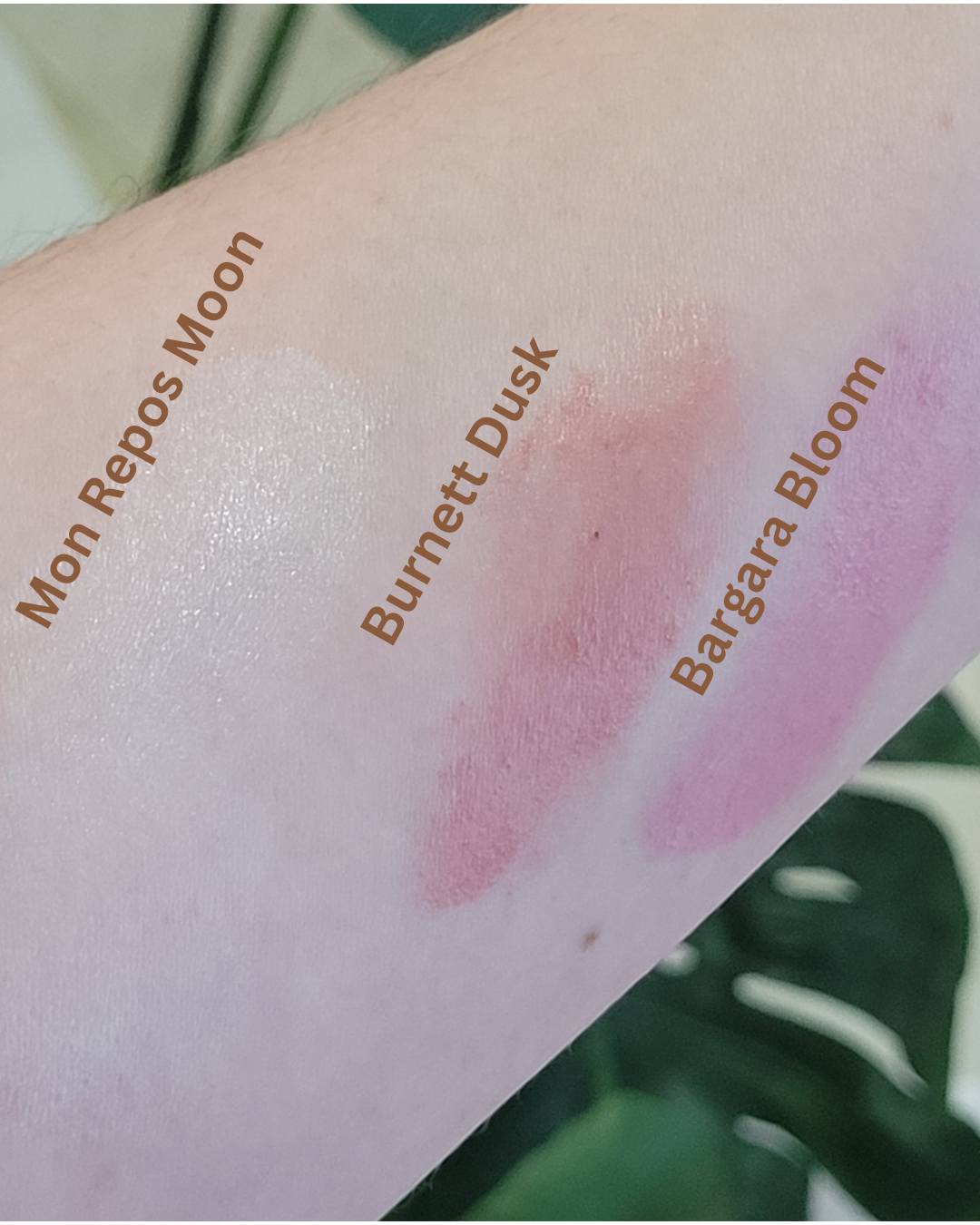 Burnett Dusk – Blush Tint